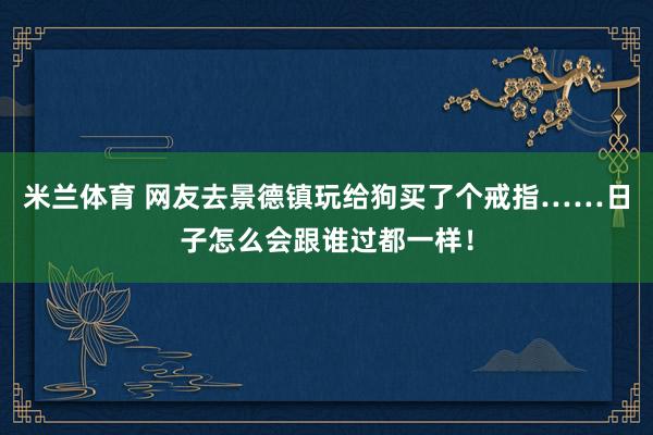 米兰体育 网友去景德镇玩给狗买了个戒指……日子怎么会跟谁过都一样！